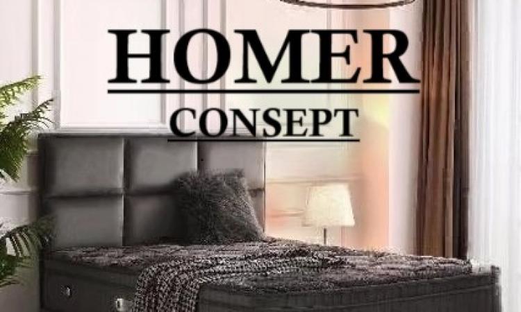 Homer Concept