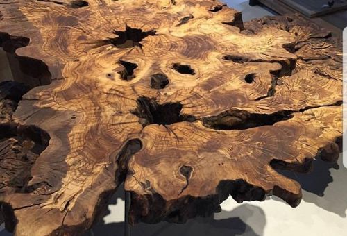 ?php echo $product['Product']['image']; ?>